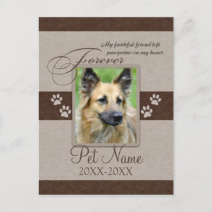 Forever Loved Pet Beileid Ankündigungspostkarte