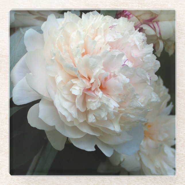Forever Peony Glasuntersetzer (Vorderseite)