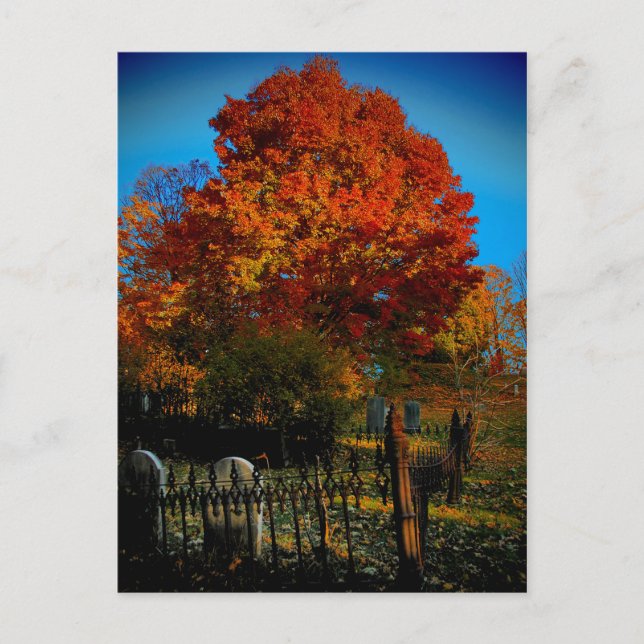 Forever Red Postcard Postkarte (Vorderseite)