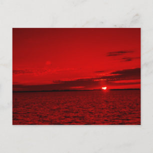 Forever Scarlet Postkarte