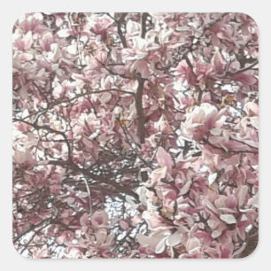 Forever Spring Magnolia Stickers