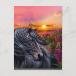 Forever Wild Black Horse Postkarte