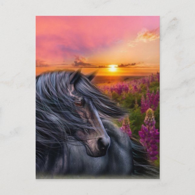 Forever Wild Black Horse Postkarte (Vorderseite)