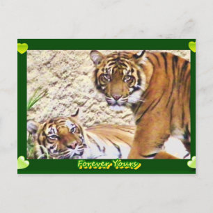 Forever Yours_ Postkarte