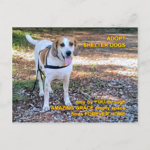 Forever Zuhause Phantastisch Grace Postkarte