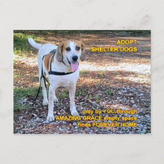 Forever Zuhause Phantastisch Grace Postkarte