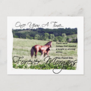 ForeverMorgans Fairytale Morgan Mare and Foal Postkarte