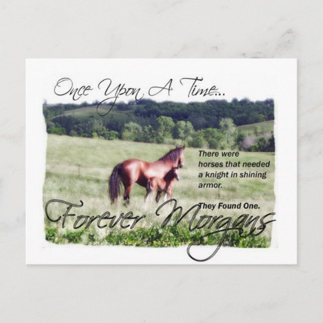 ForeverMorgans Fairytale Morgan Mare and Foal Postkarte (Vorderseite)