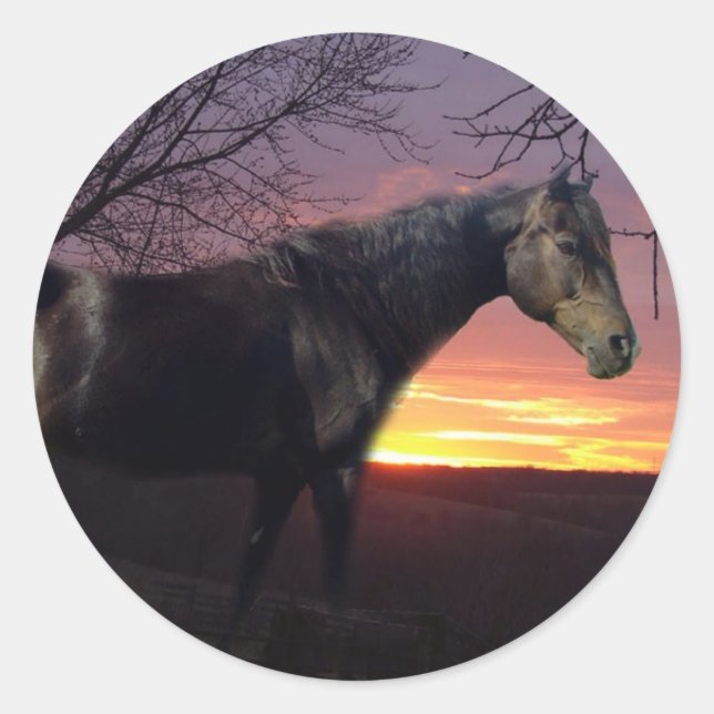 ForeverMorgans Schwarzes Pferd im Lila Sonnenaufga Runder Aufkleber (Vorderseite)