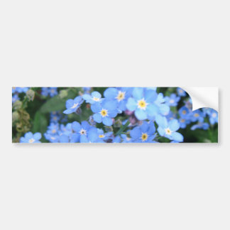 *Forget-Me-Not* Autoaufkleber