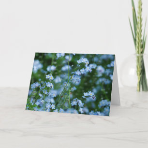 Forget-me-not Flowers Card Karte