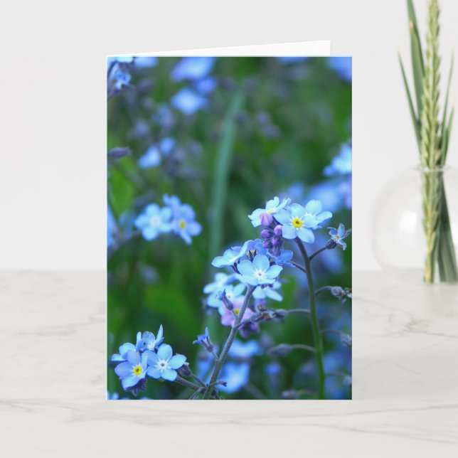 Forget-Me-Not Karte (Vorderseite)