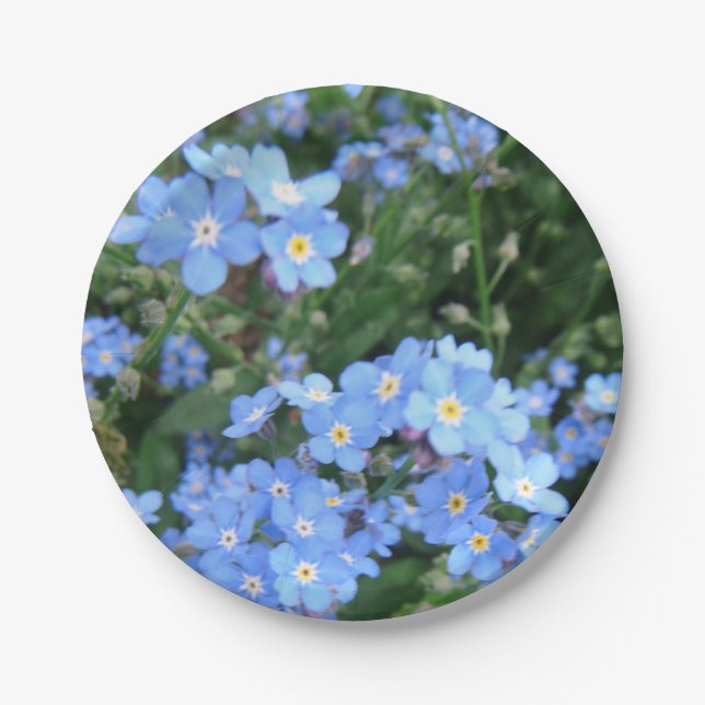 *Forget-Me-Not* Party-Teller Pappteller (Vorderseite)
