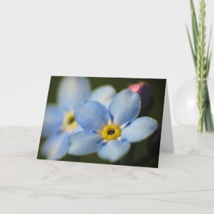 Forget-Me-Nots 12 Sympathy Card Karte