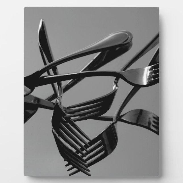 Fork Levitation Fotoplatte (Vorderseite)