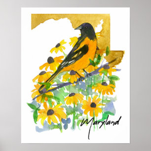 Form des Bundesstaates Maryland Baltimore Oriole S Poster