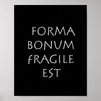 Forma bonum fragile est