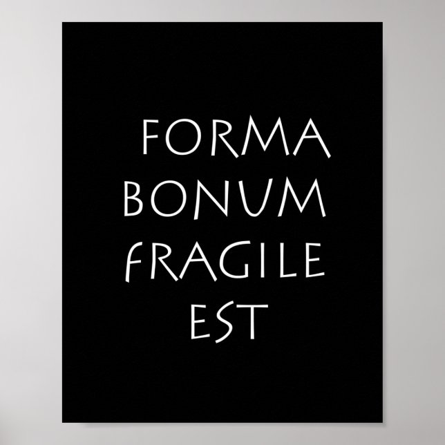 Forma bonum fragile est poster (Vorne)