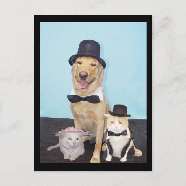 Formale Postkarte (Vorderseite)