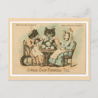 Formosa Tea Cats Postkarte