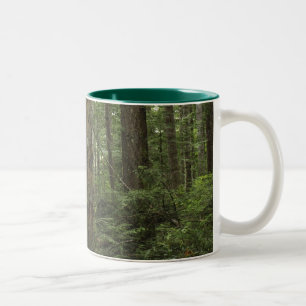 Forstbaumen und Ferns-Tasse Zweifarbige Tasse