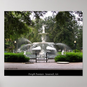 Forsyth Brunnen Poster