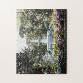 Forsyth Fountain Savannah Challengle Puzzle