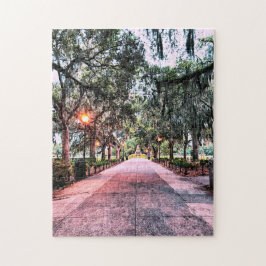 Forsyth Park Abend Puzzle