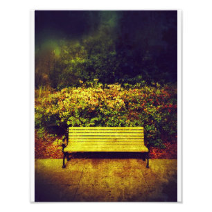Forsyth Park-Bank Fotodruck