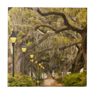 Forsyth Park - Foto, Savanne, Georgia (GA) USA Fliese