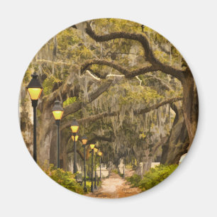 Forsyth Park - Foto, Savanne, Georgia (GA) USA Magnet