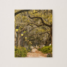 Forsyth Park - Foto, Savanne, Georgia (GA) USA Puzzle