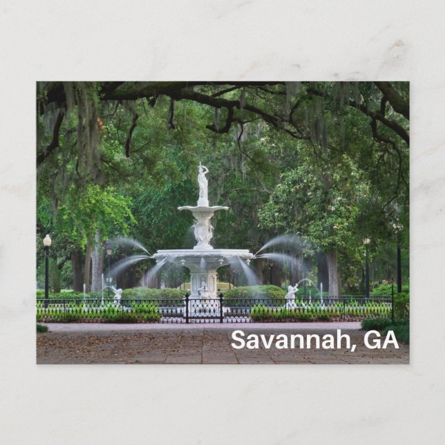 Forsyth Park Fountain in Savannah, GA Postkarte (Vorderseite)