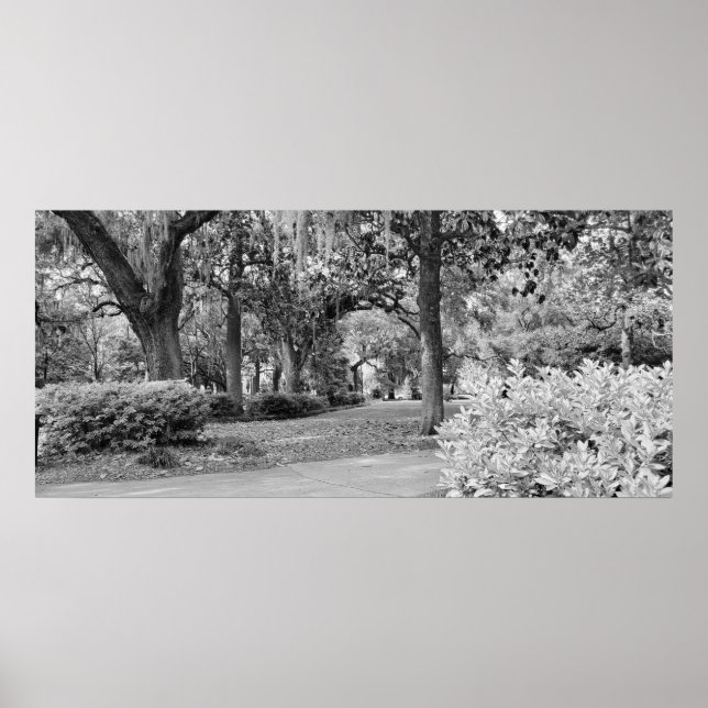Forsyth Park, Savannah Ga Poster (Vorne)