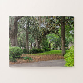Forsyth Park, Savannah Puzzle