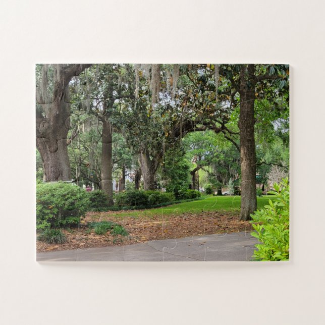 Forsyth Park, Savannah Puzzle (Horizontal)