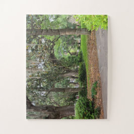 Forsyth Park, Savannah Puzzle