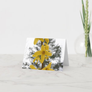 Forsythiablüte notecard karte