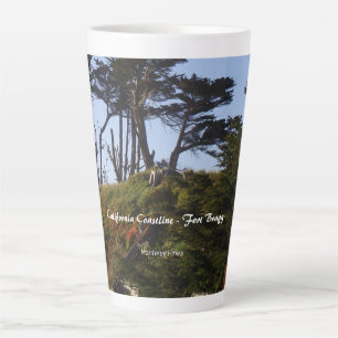 Fort Bragg California Coastline Monterey Pines Milchtasse