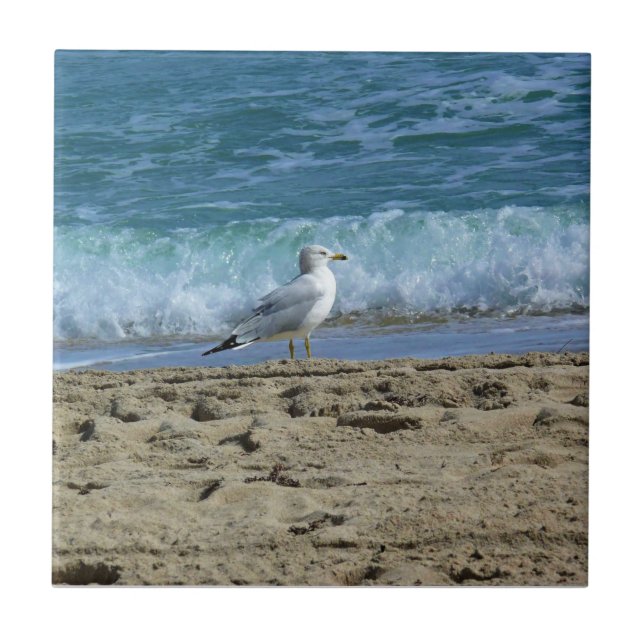 Fort Lauderdale, Florida Fliese (Vorderseite)