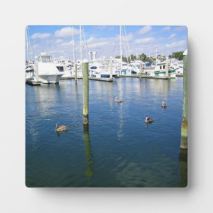 Fort Lauderdale, Florida Fotoplatte