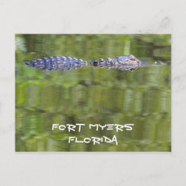 Fort Myers Alligator Card Postkarte
