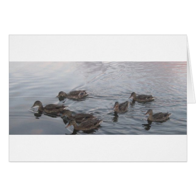 FORT RICHARDSON ALASKA (Vorderseite (Horizontal))