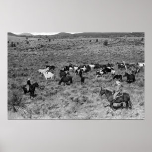 Fort Rock, Oregon Cowboy im Teufelsgarten Poster