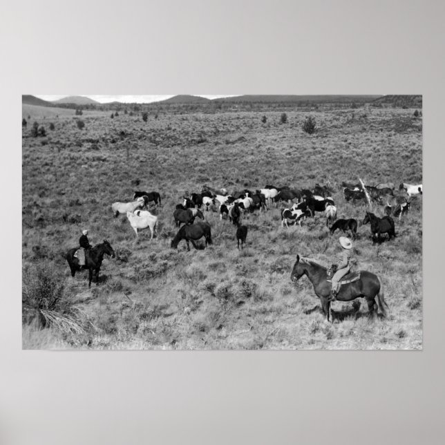 Fort Rock, Oregon Cowboy im Teufelsgarten Poster (Vorne)