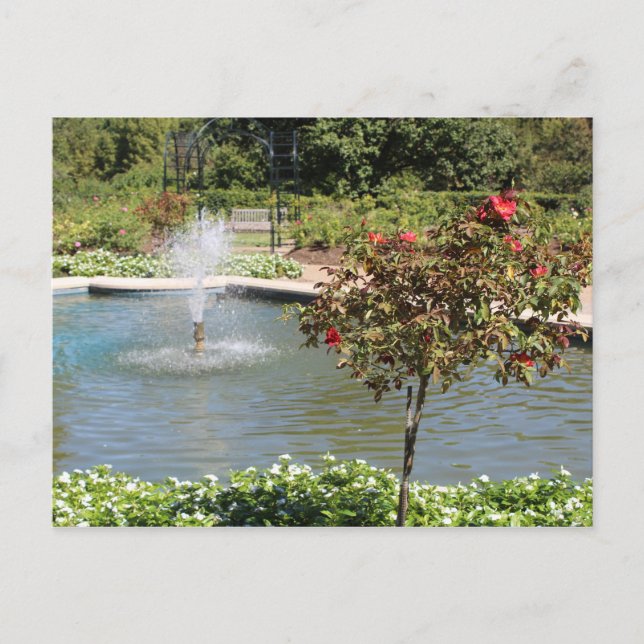 Fort Worth Garden Fown Postkarte (Vorderseite)