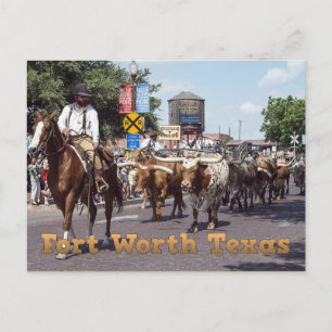 Fort Worth Texas Cattle Drive Postcard Postkarte
