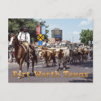 Fort Worth Texas Cattle Drive Postcard Postkarte