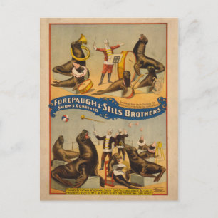 Fortgeschrittene Siegel Circus Poster - Forepaugh  Postkarte