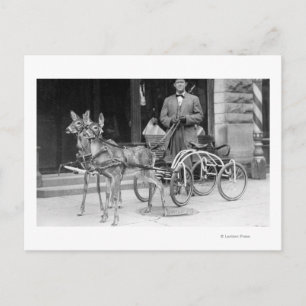 Fortgeschrittenes Hirsch, das zu einem ungeraden S Postkarte